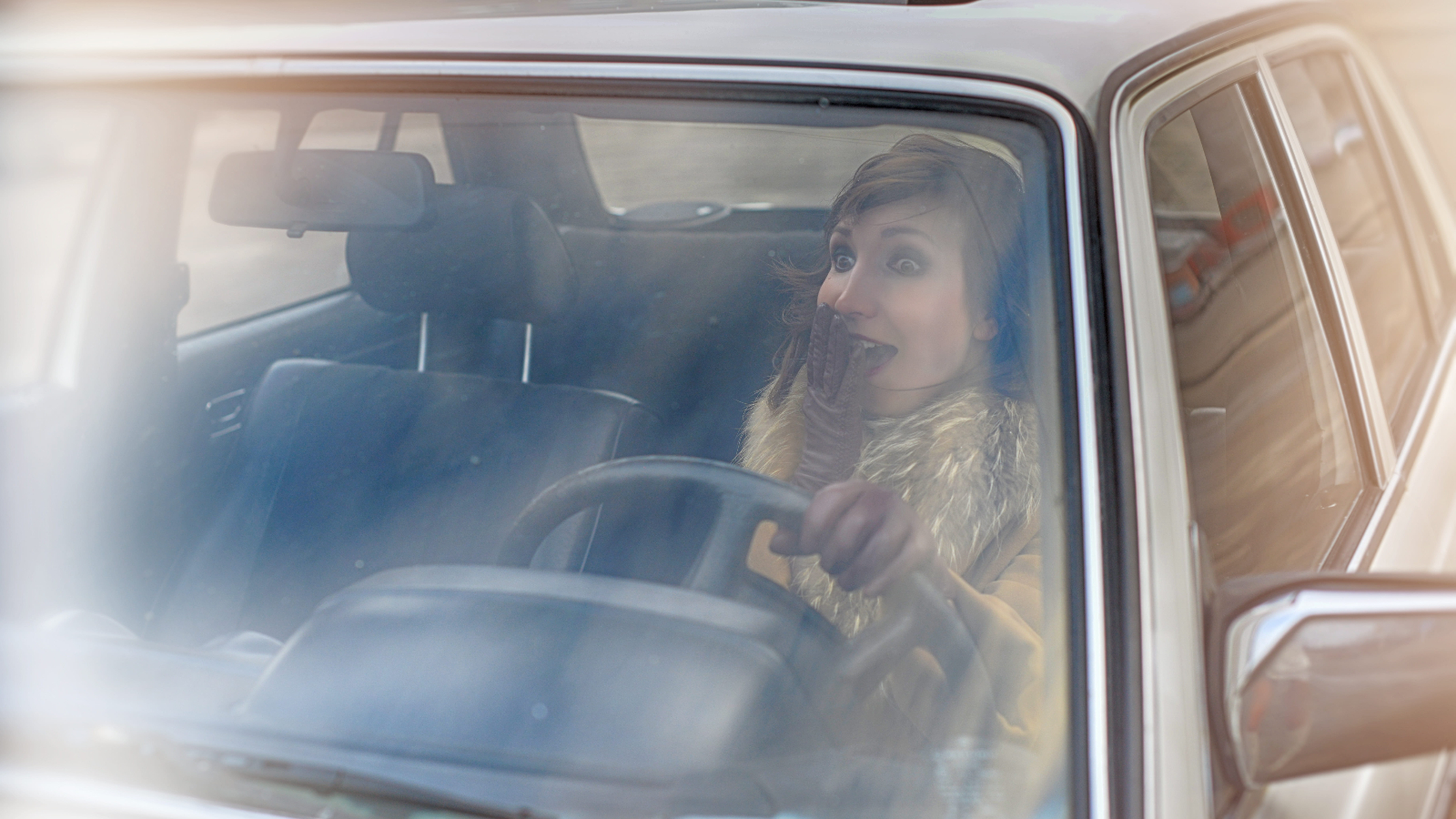 Extremely Educated Idiots