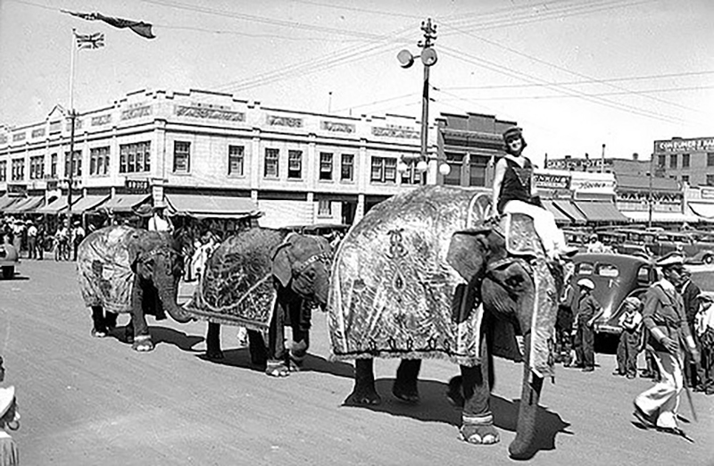 Lillian Leitzel facts