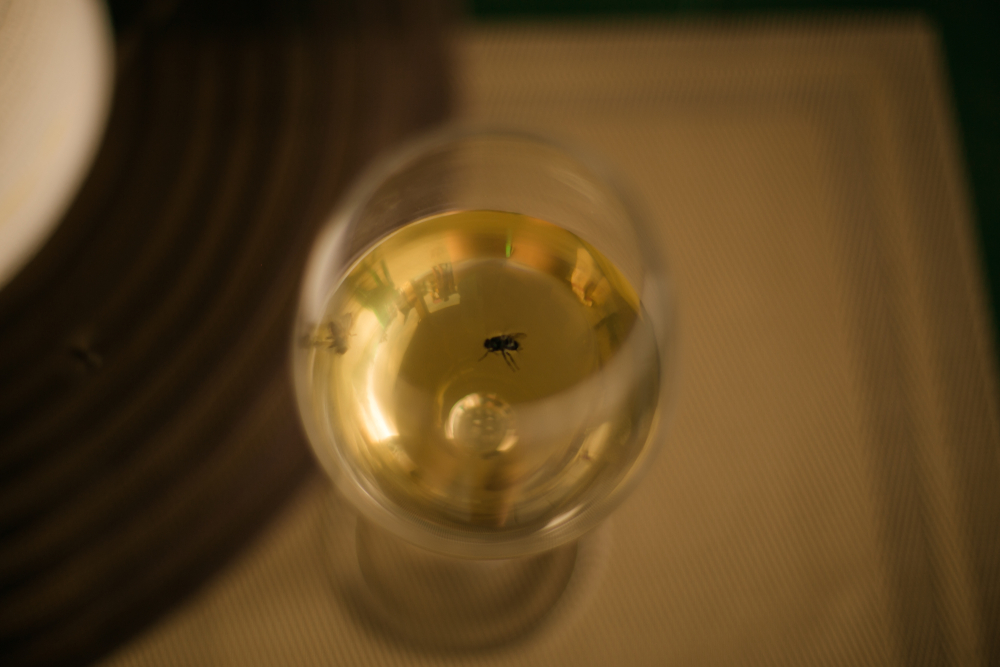 Worst Restaurant Experiences Ever