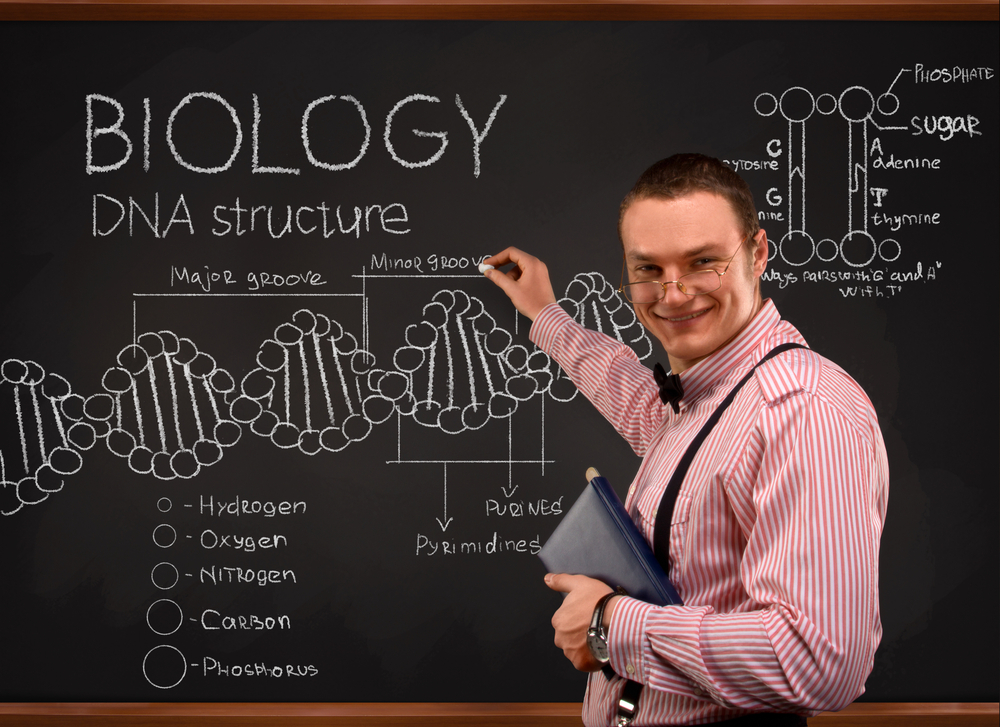 Teachers Say The Funniest Things