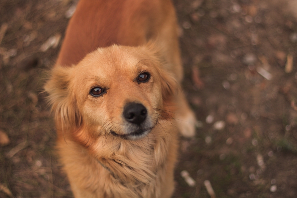 My Guilty Past Still Haunts Me