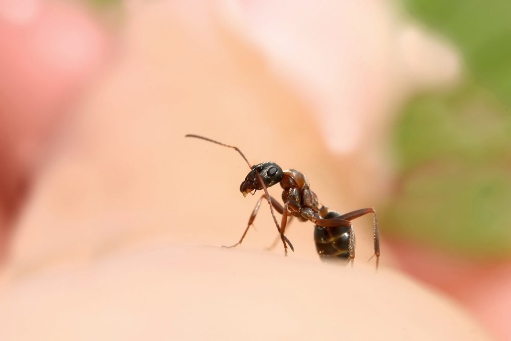 Dumbest Things People Have Actually Done