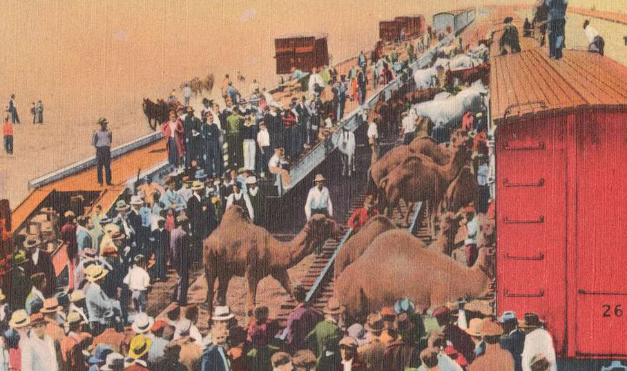 Lillian Leitzel facts