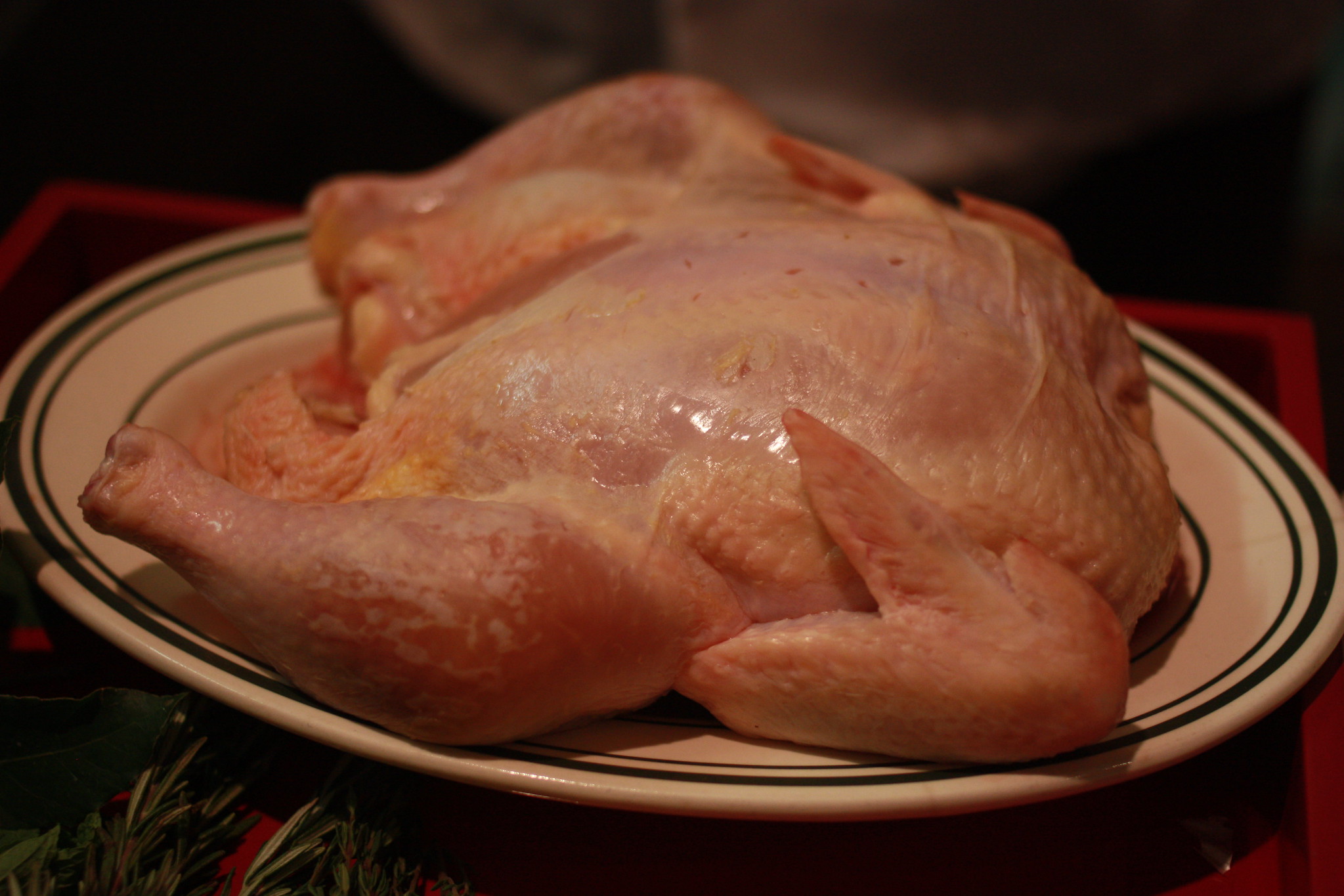 Terrifying Roommates