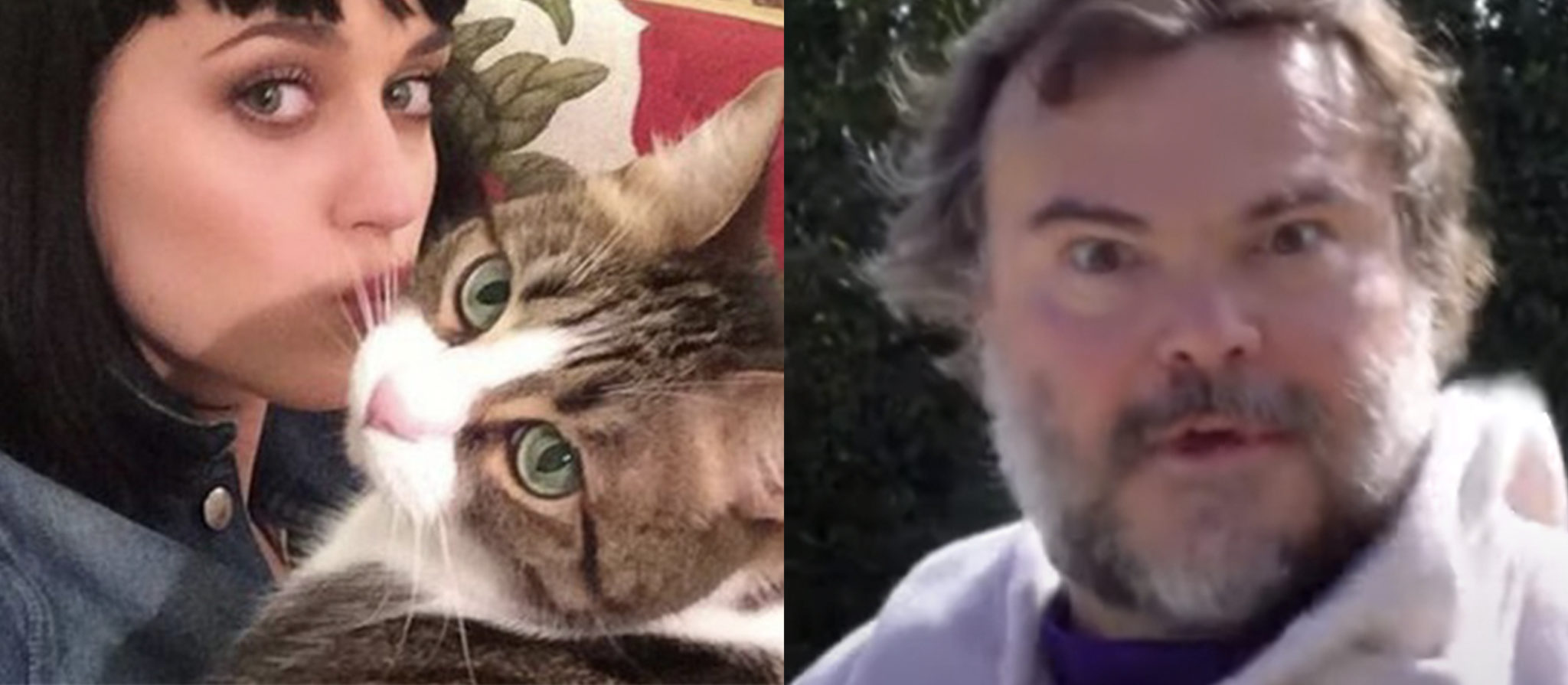 super creepy neighbors