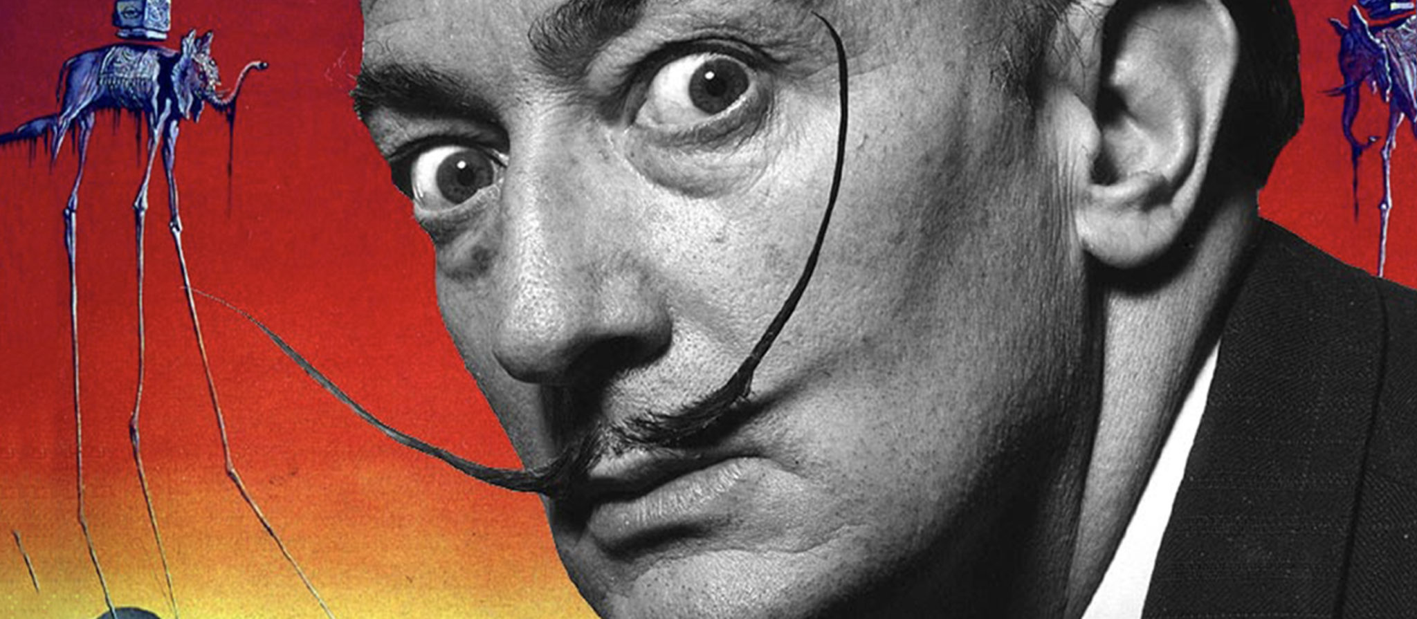 salvador dali