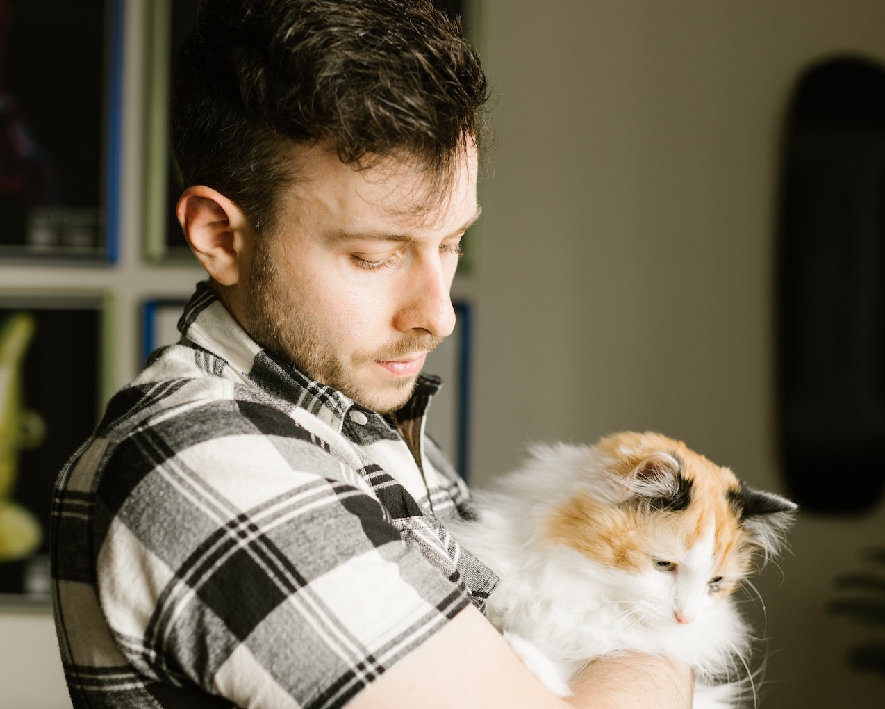 Terrifying Roommates