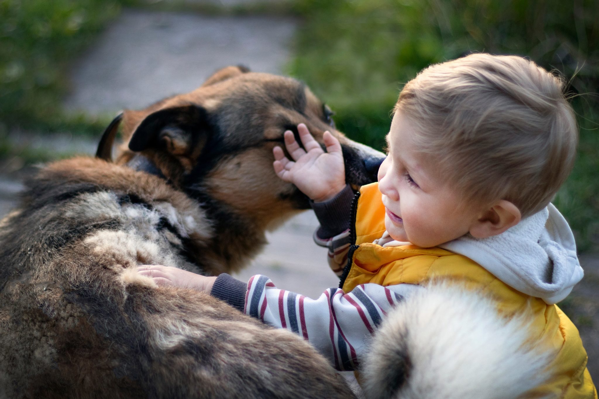 Small kid playing with a dog.