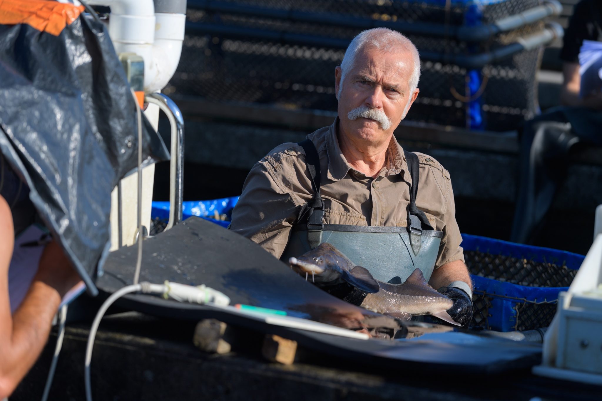 Older man with mustache working on a fishing boat