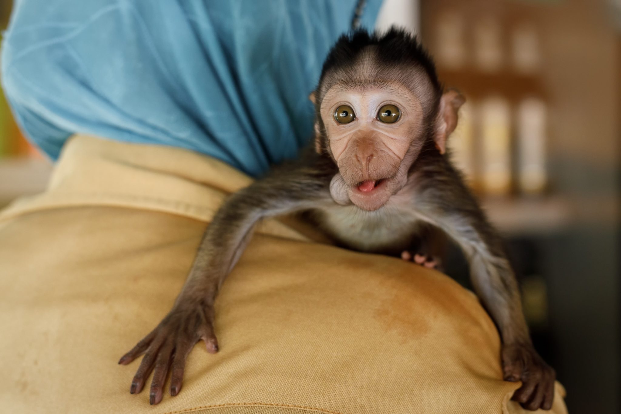 Medical OMG Encounters