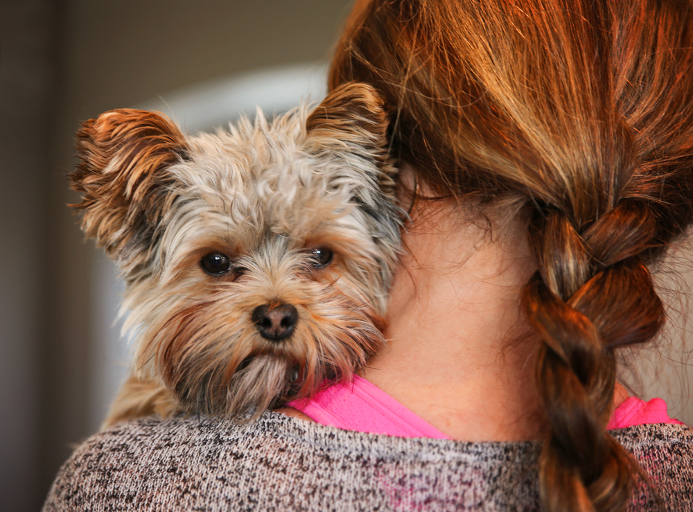 Woman hugging a small dog 