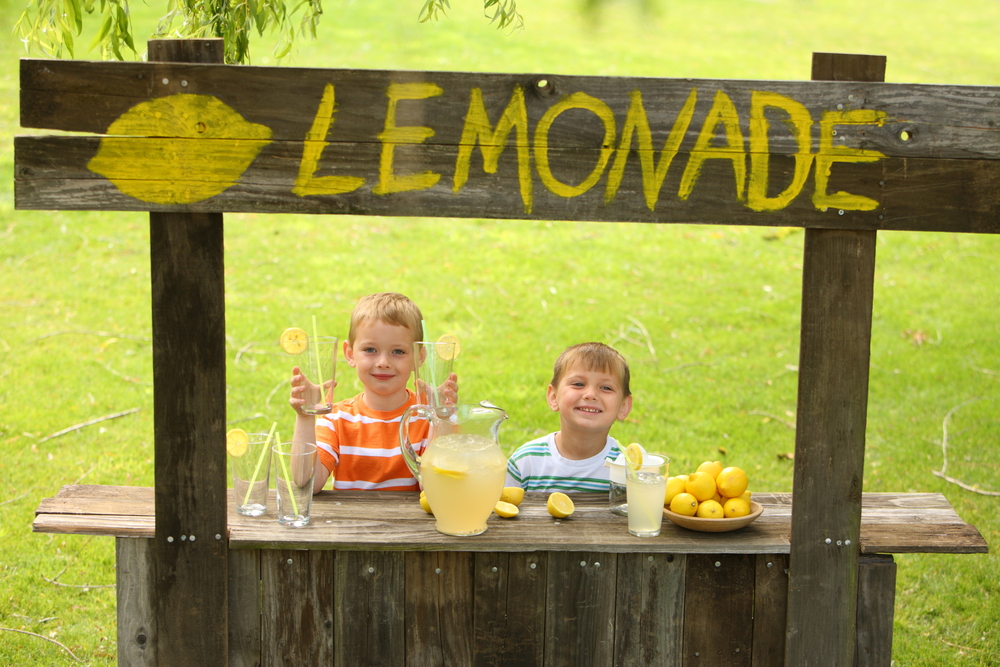 Two boys with lemonade stand