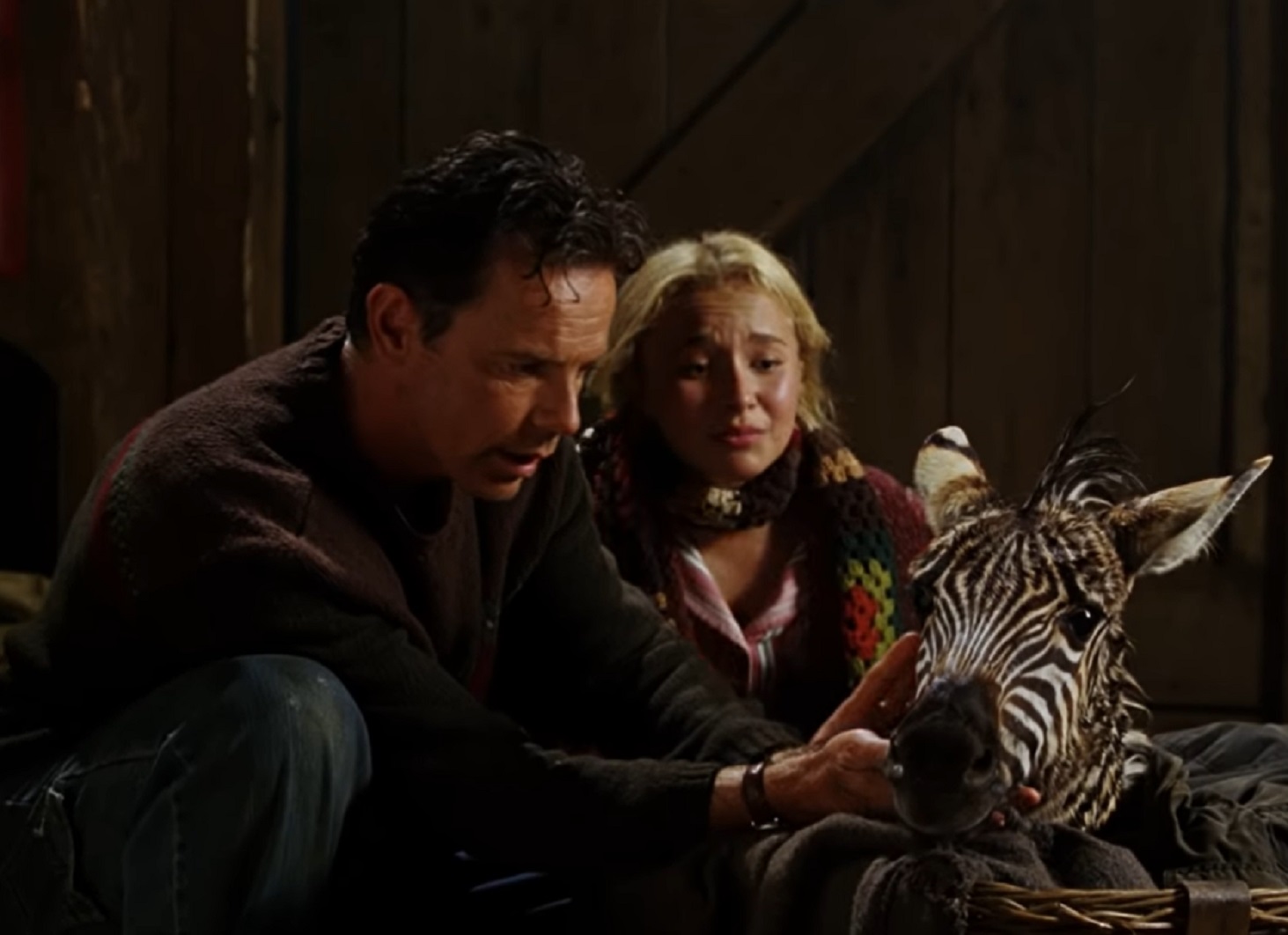Screenshot : Hayden Panettiere with blond hair with a baby zebra - from Racing Stripes (2005)