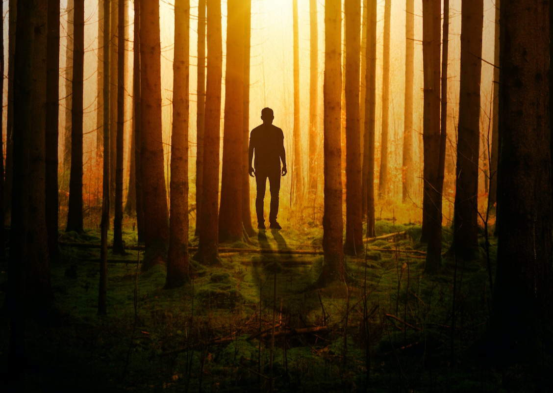Silhouette of a Man in the wood
