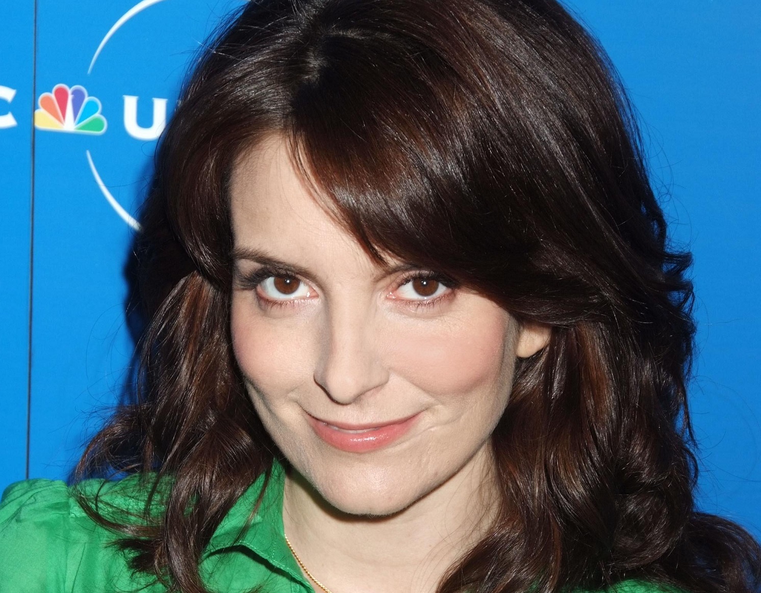 Tina Fey wearing green shirt is looking at camera - 2008