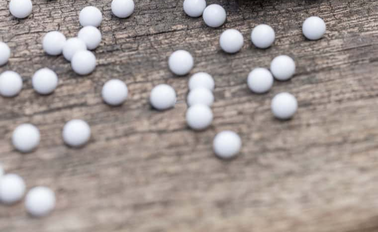 Students Getting Expelled facts