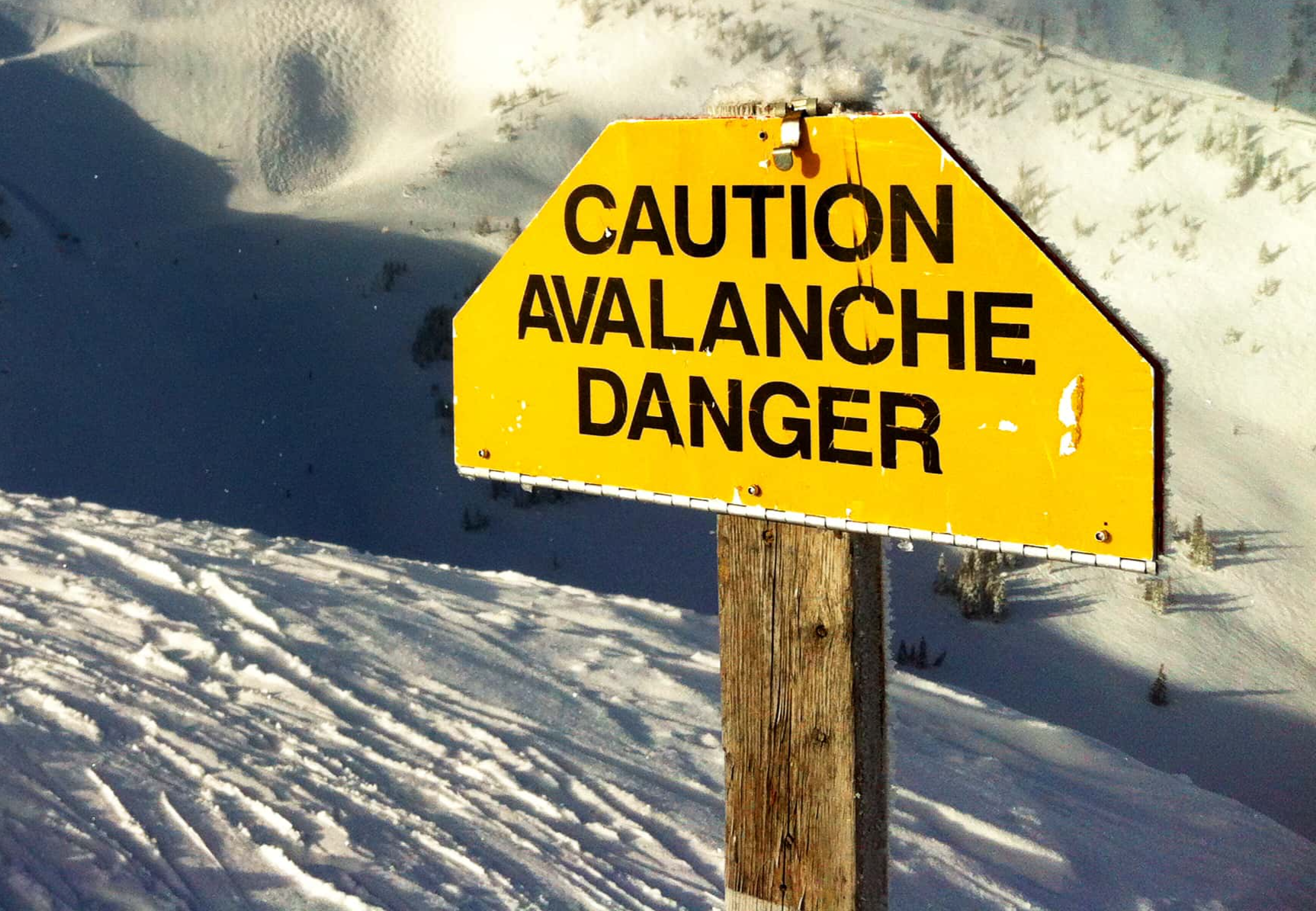 Gut Feeling Turned Out to Be True Facts