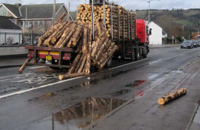 Gut Feeling Turned Out to Be True Facts