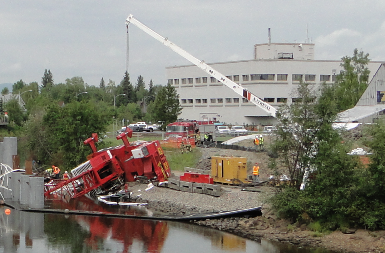 Gut Feeling Turned Out to Be True Facts