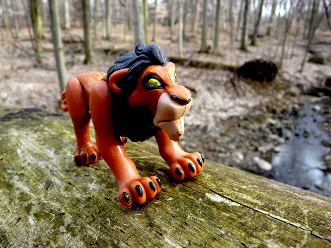 Scar toy from lion king in the woods.