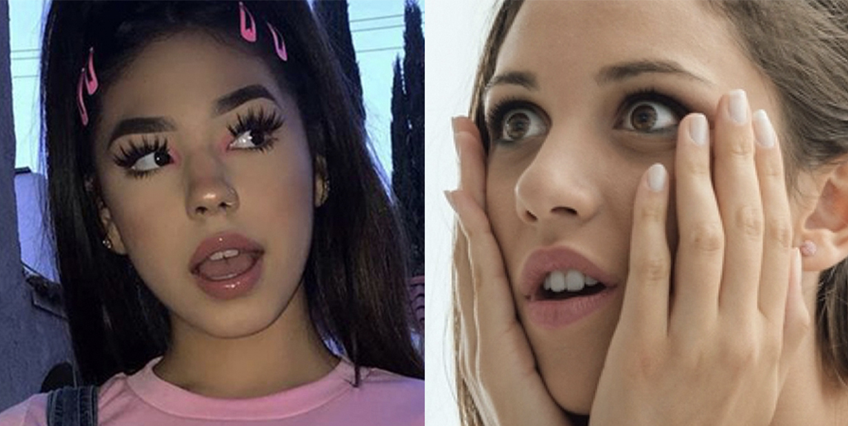 Dumbest Things Heard facts