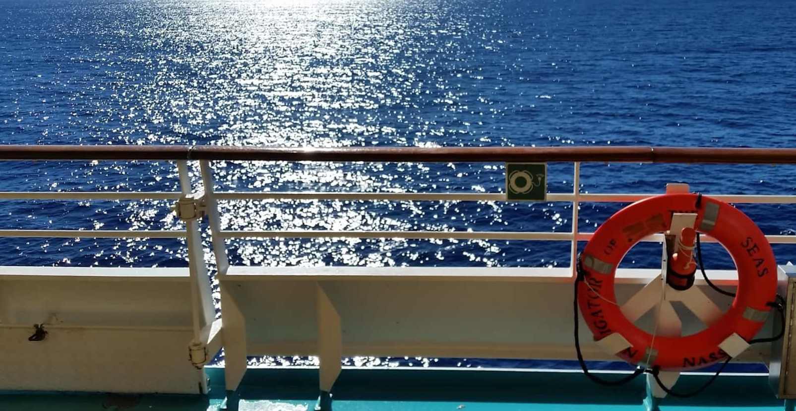 Cruise Ship Horror Stories Facts