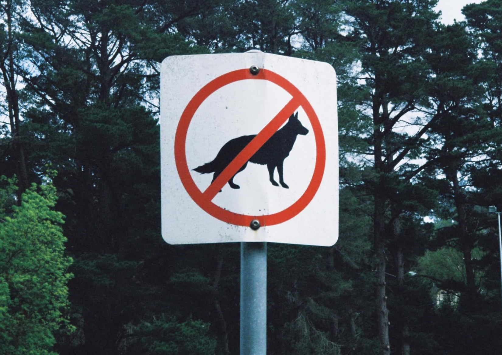 Crazy But Necessary Signs Facts