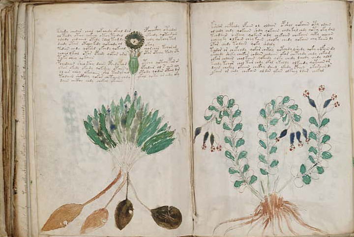 Medieval Beliefs facts