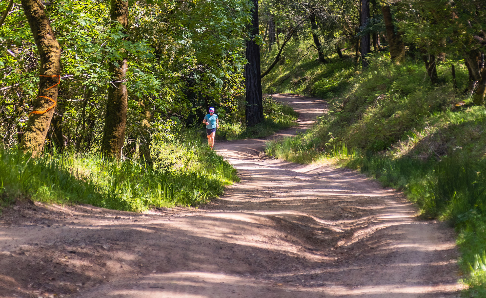 Person running at forest