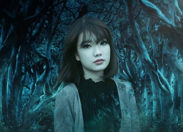 On The Road At Night Facts