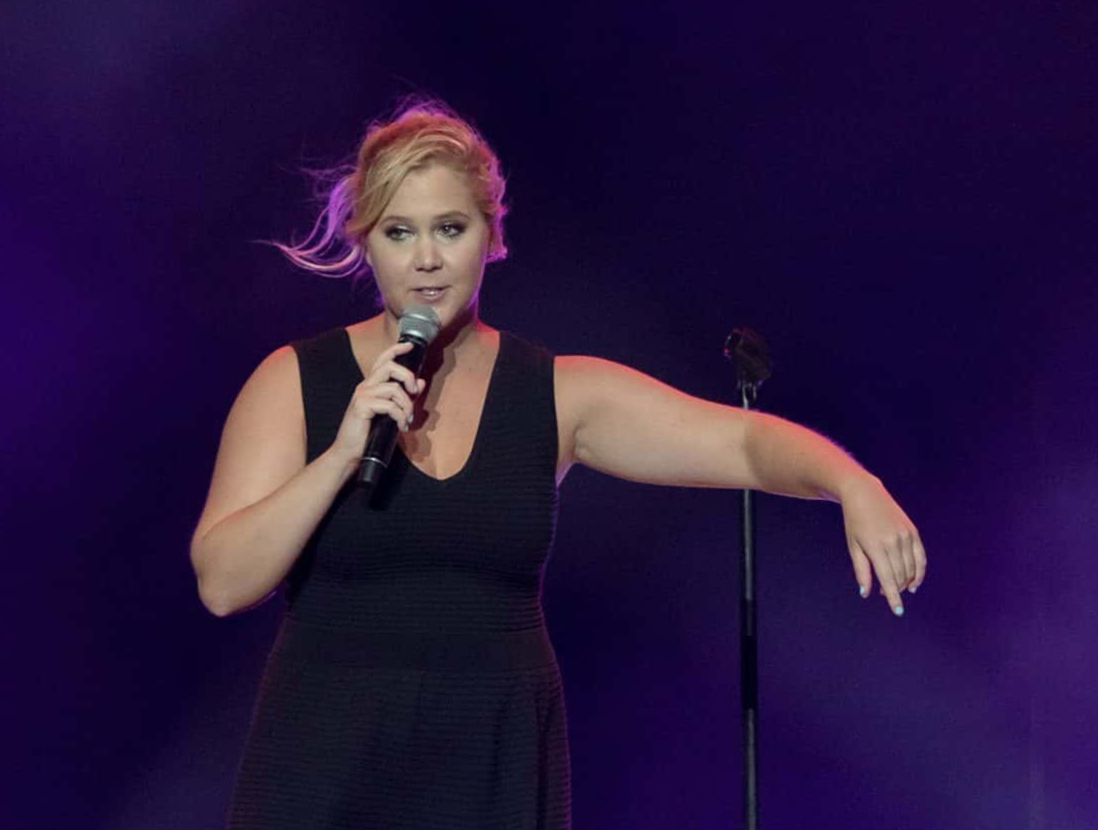 Amy Schumer facts
