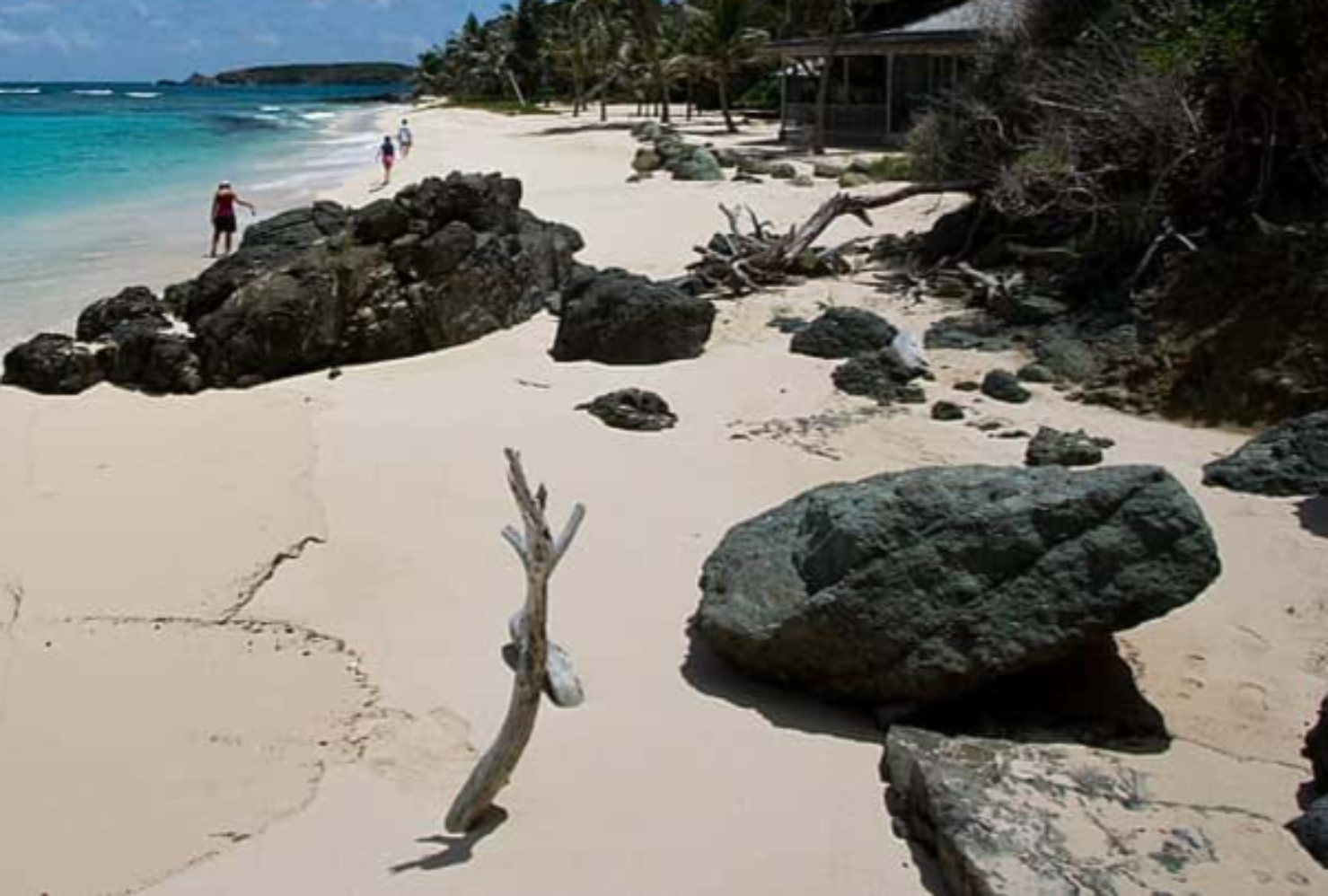 Princess Margaret facts