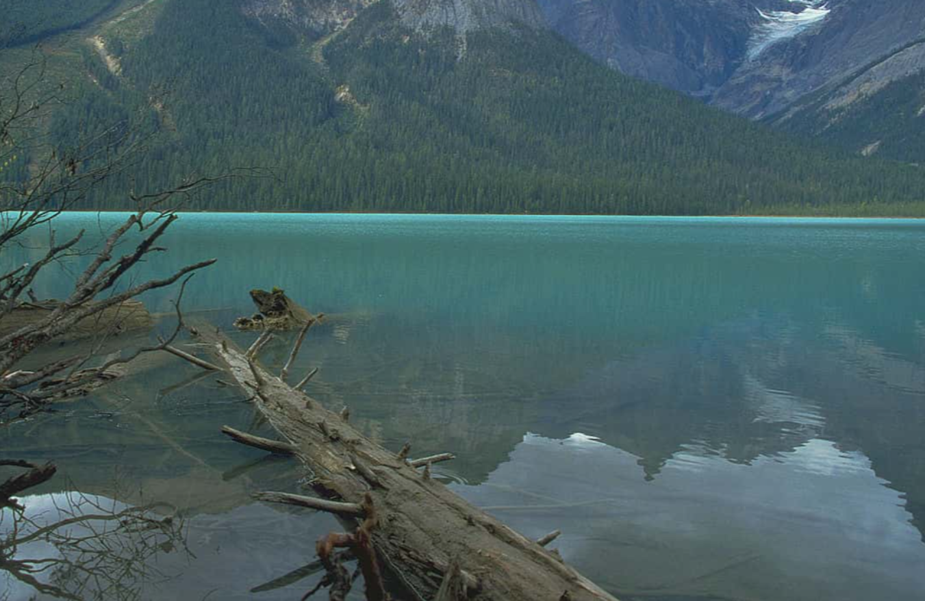 Level Of Stupid facts