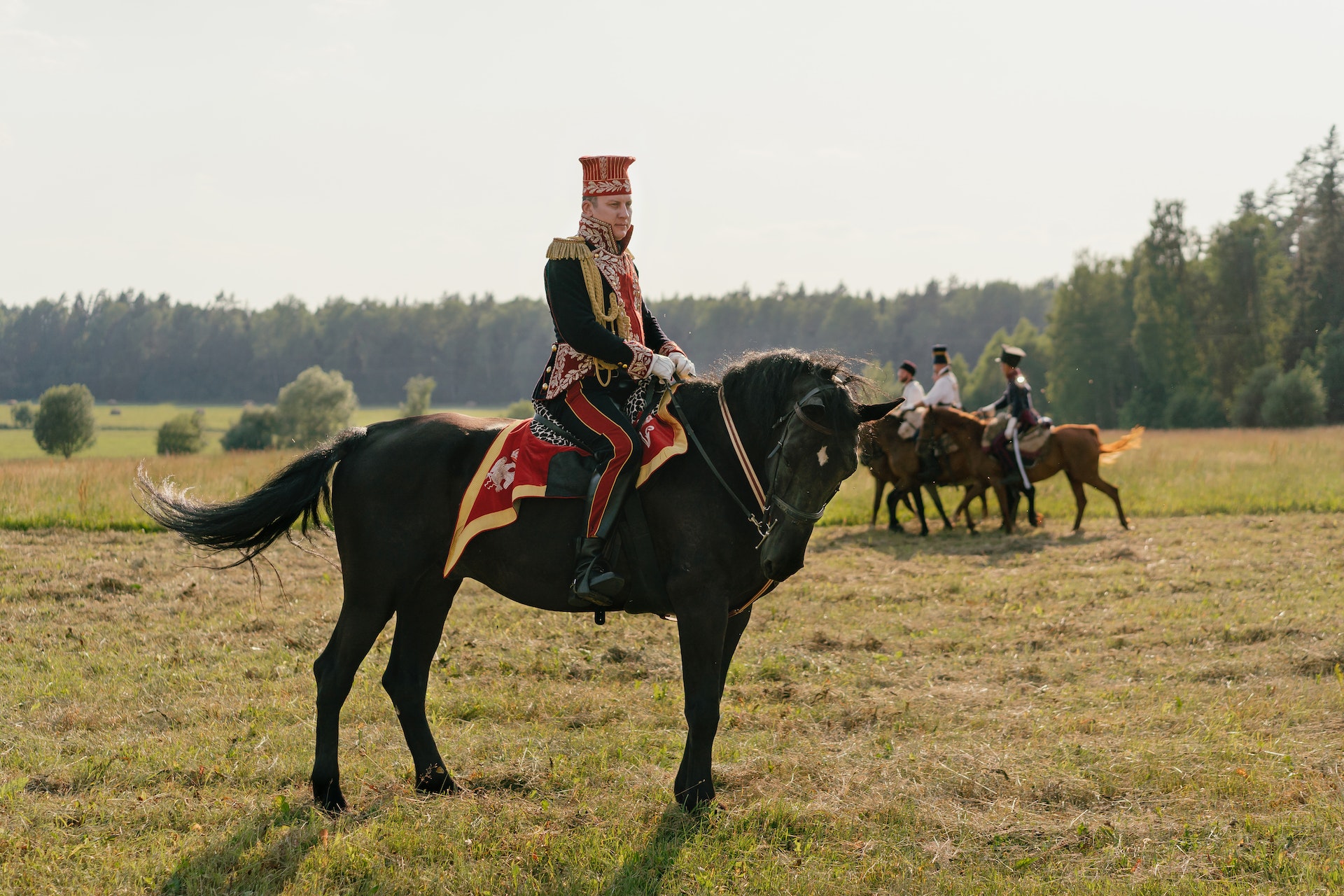 a soldier riding on a black horse on a green field