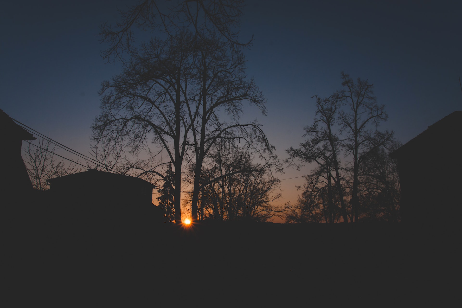 silhouette of trees and houses under calm blue sky