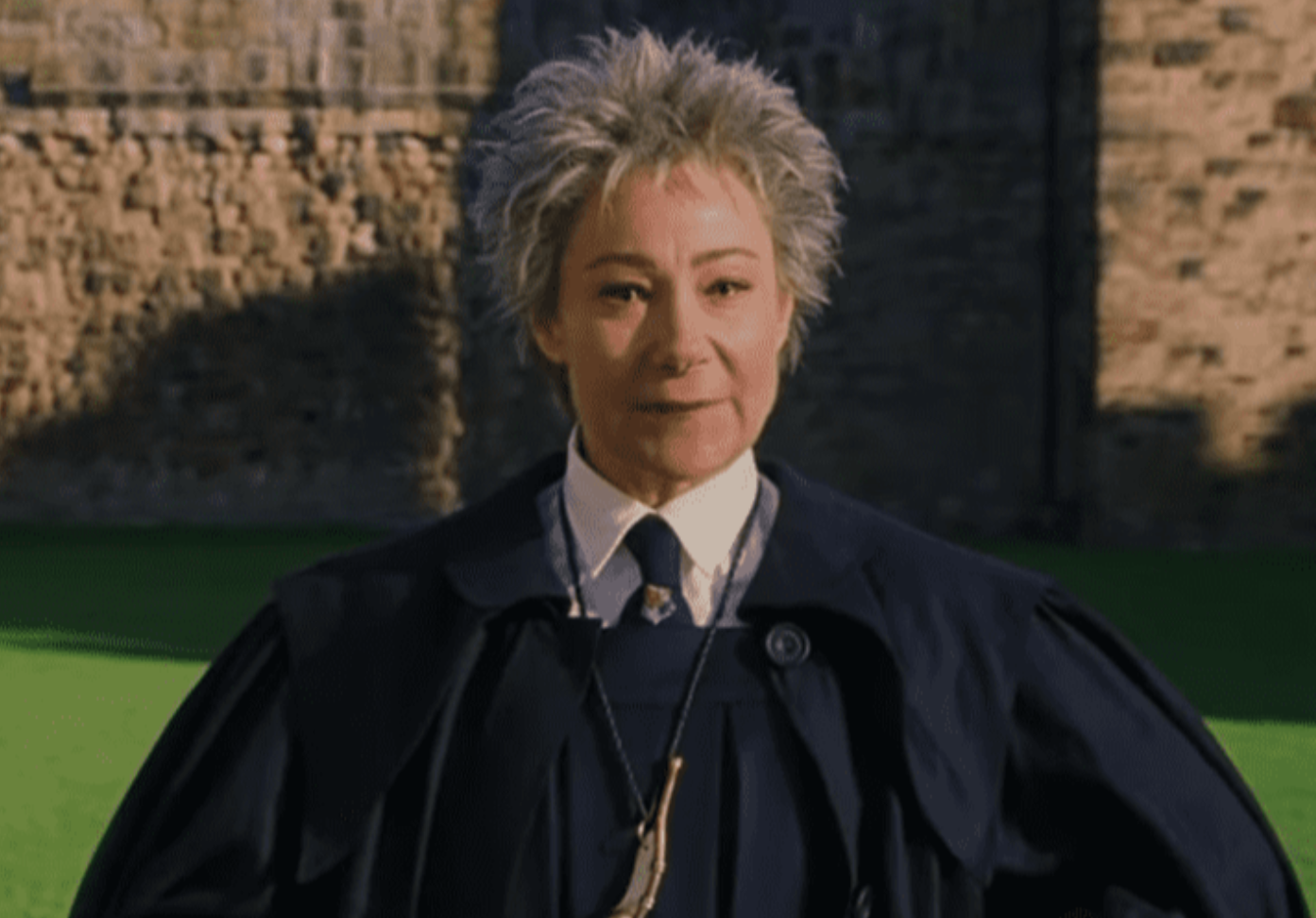 Hogwarts Professors Facts