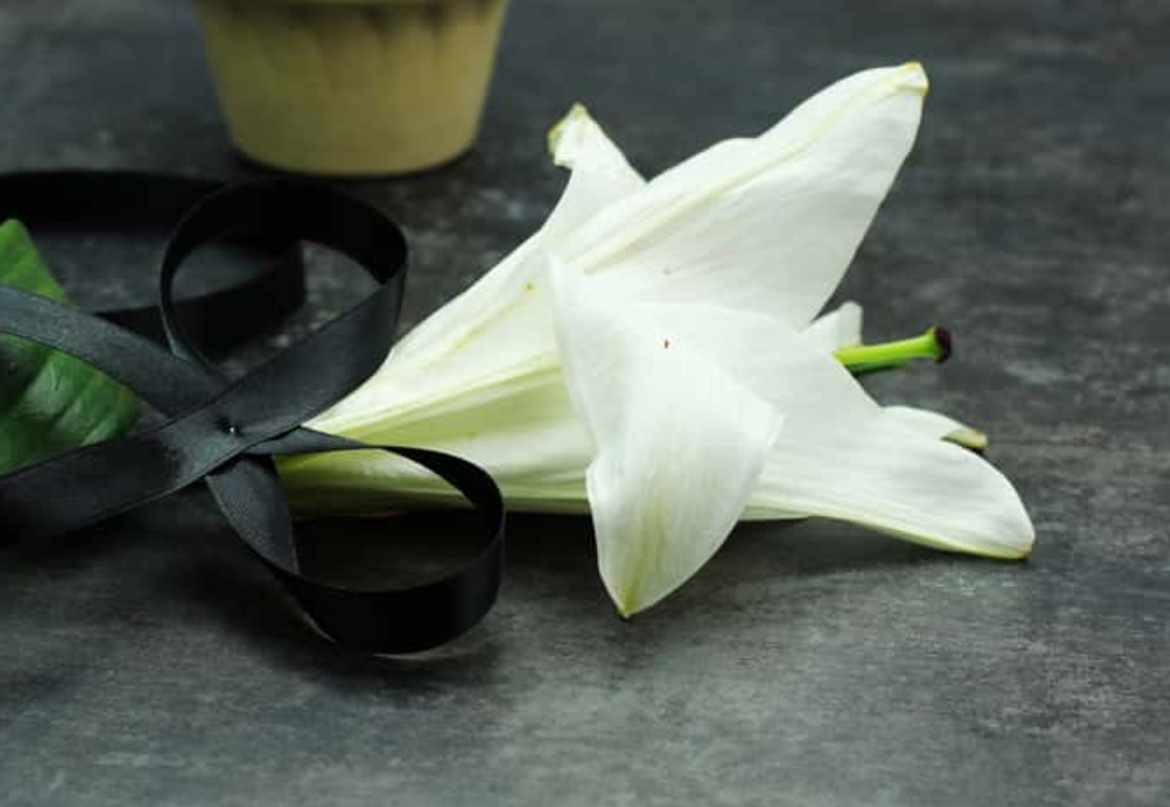 Johann Sebastian Bach Facts