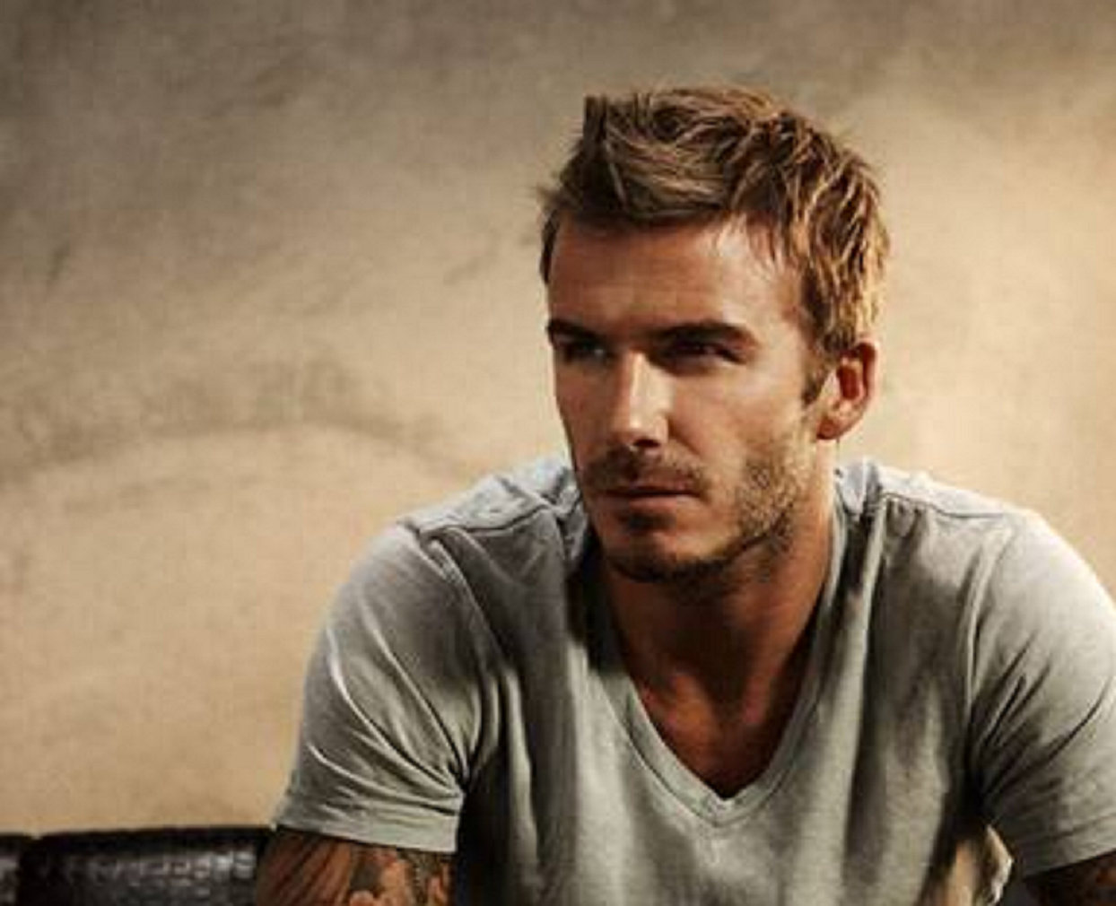David Beckham portrait