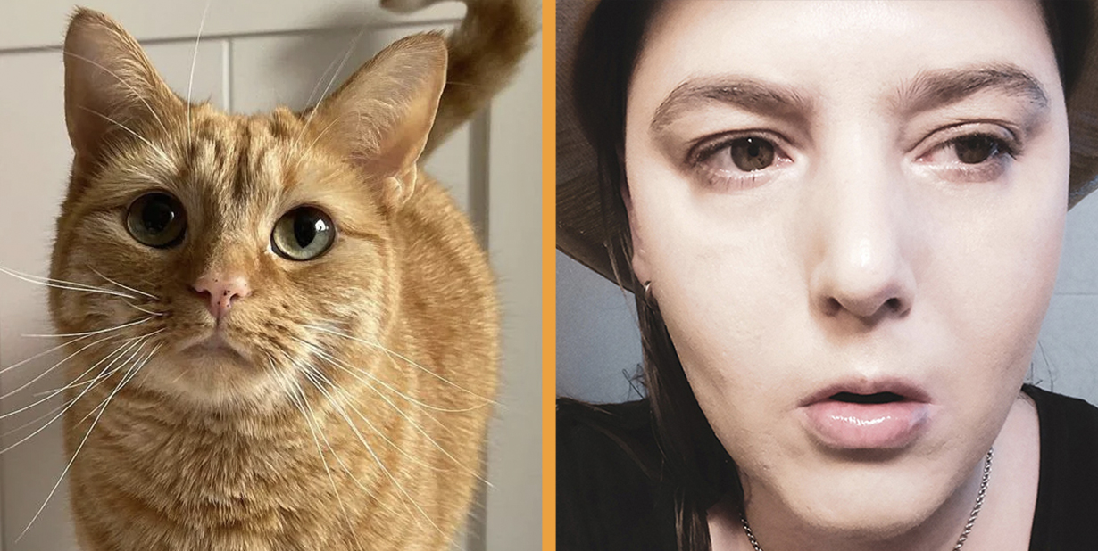 Declassified Government Information facts