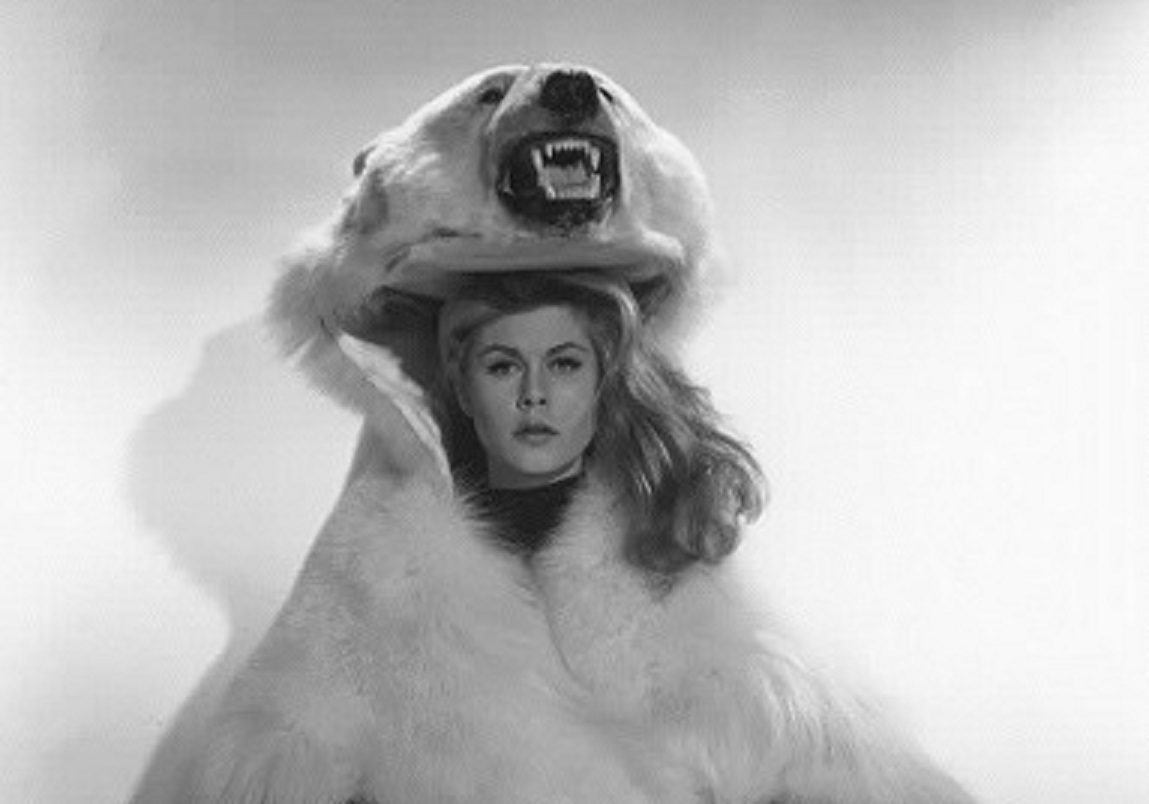 B&W portrait of Elizabeth Montgomery looking at camera.