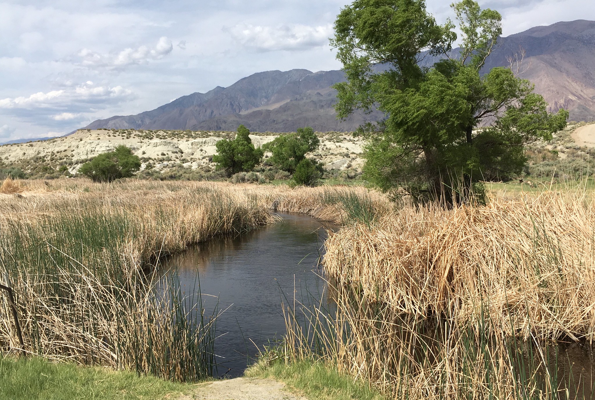 Owens River in California