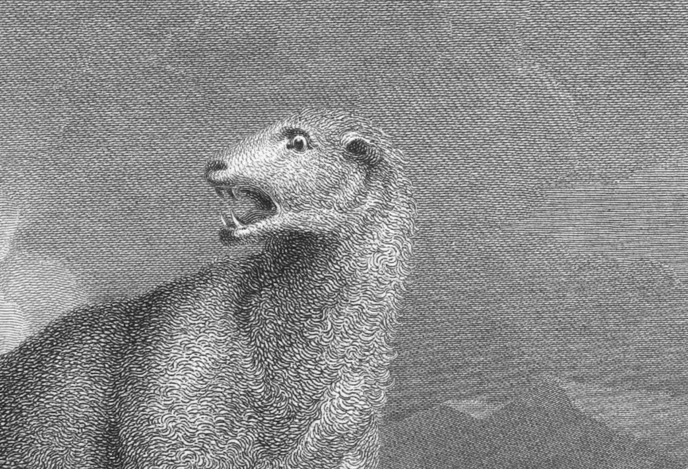 Horatio Nelson facts