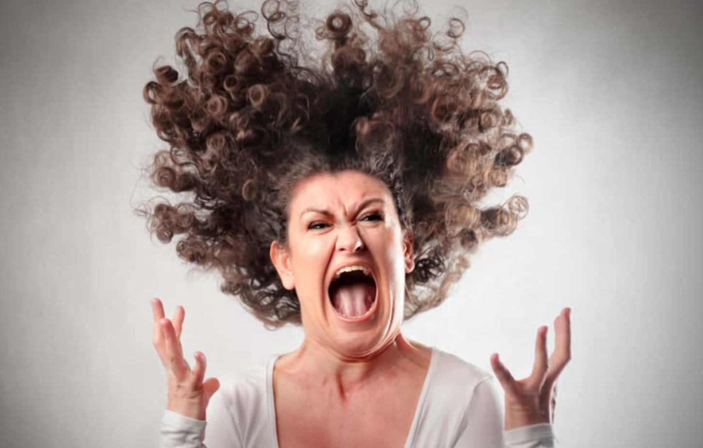 Revenge Stories facts