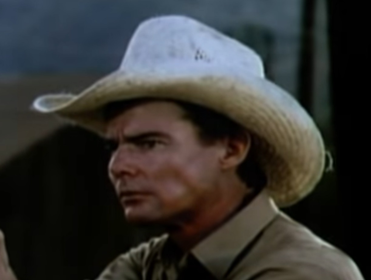 Screenshot: Jan-Michael Vincent wearing grey shirt and hat is looking at front - from The Return (1980)