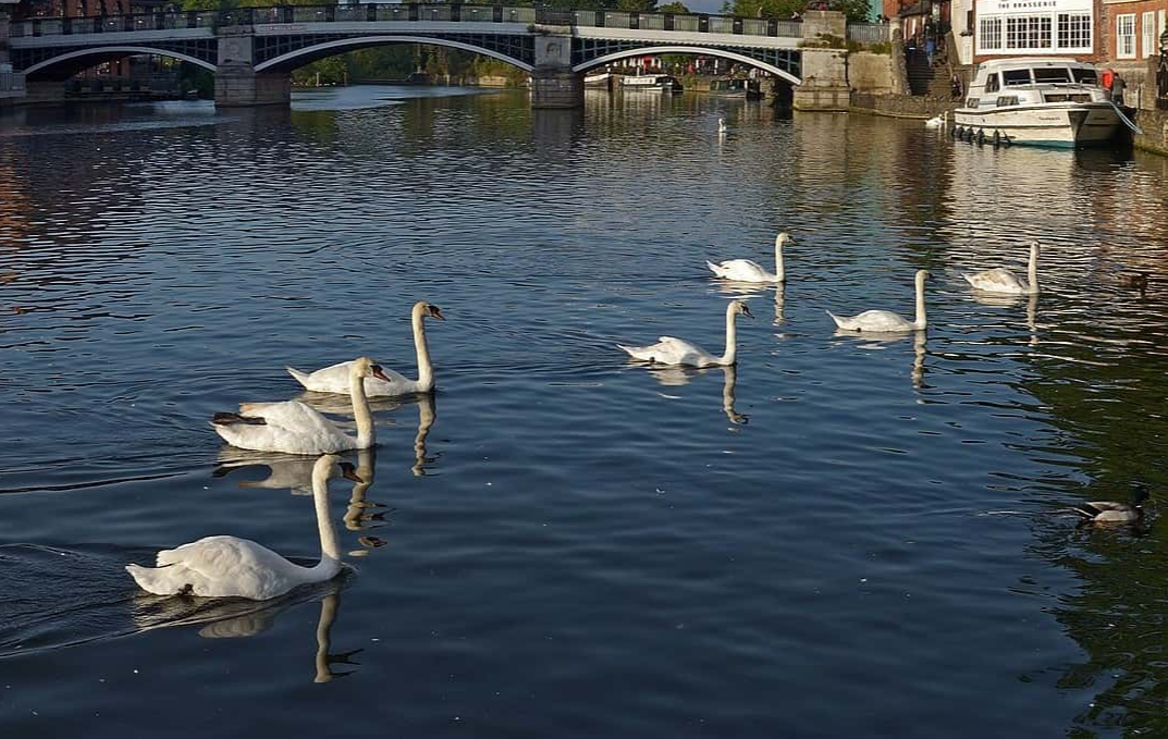 History's Upper Class Facts