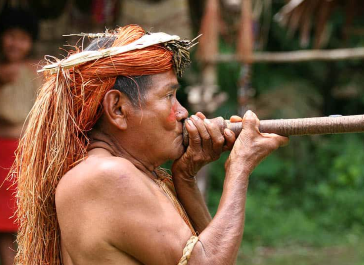 Secluded Civilizations Facts