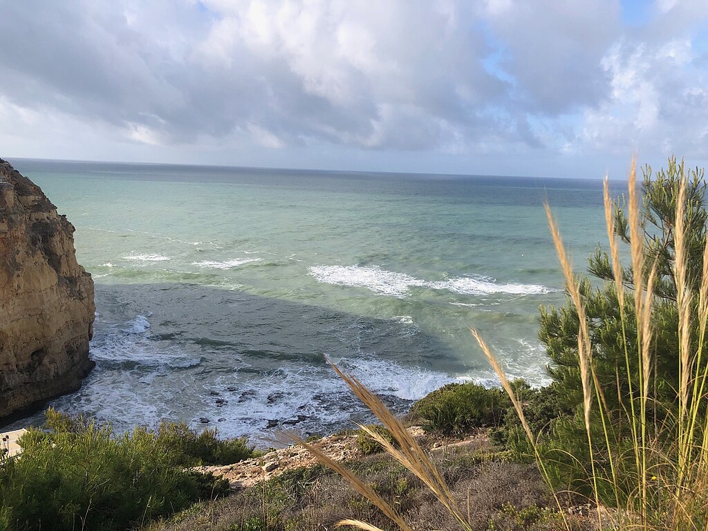 Photography of Atlantic ocean sea shore with rocks and plants