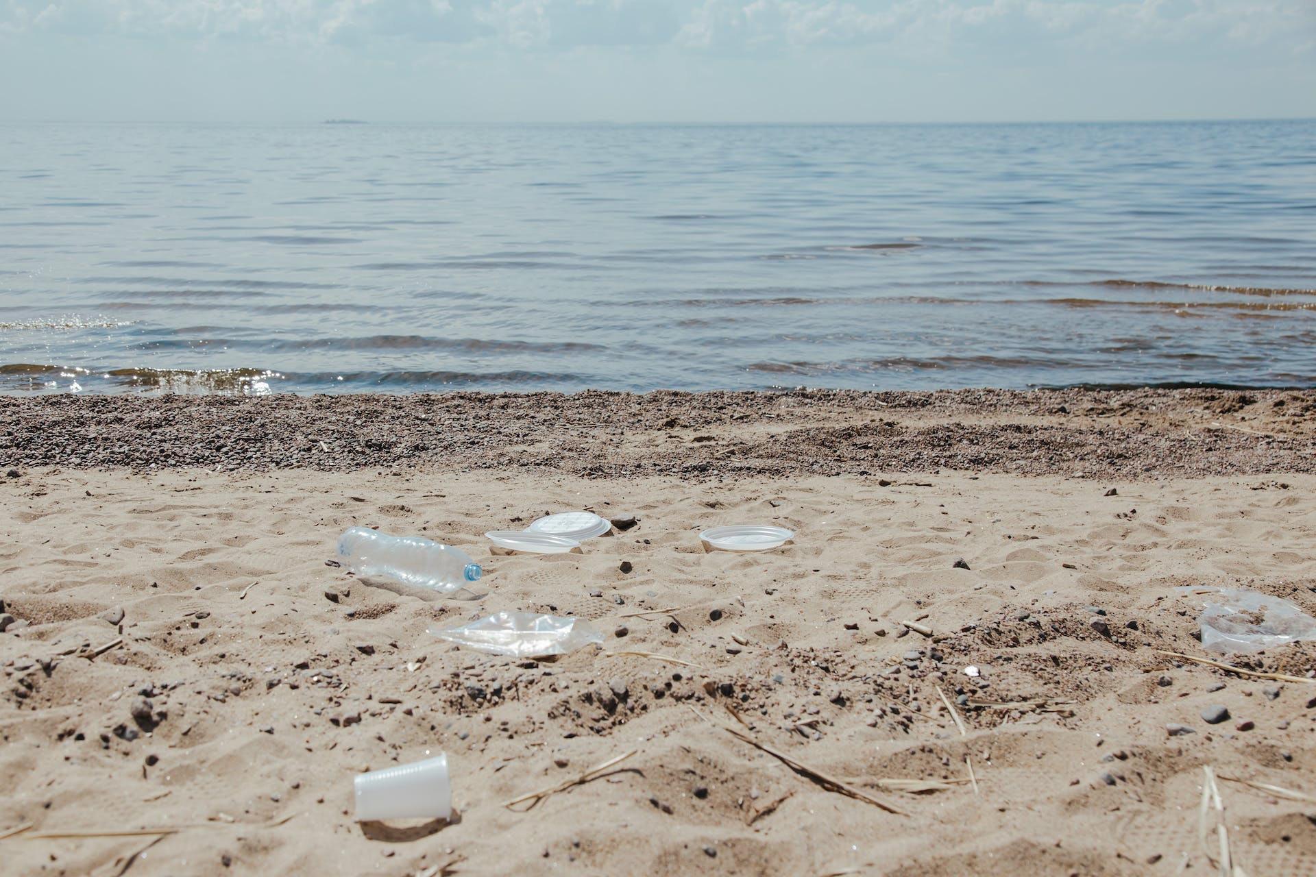 Photo of plastic scattered on beach shore