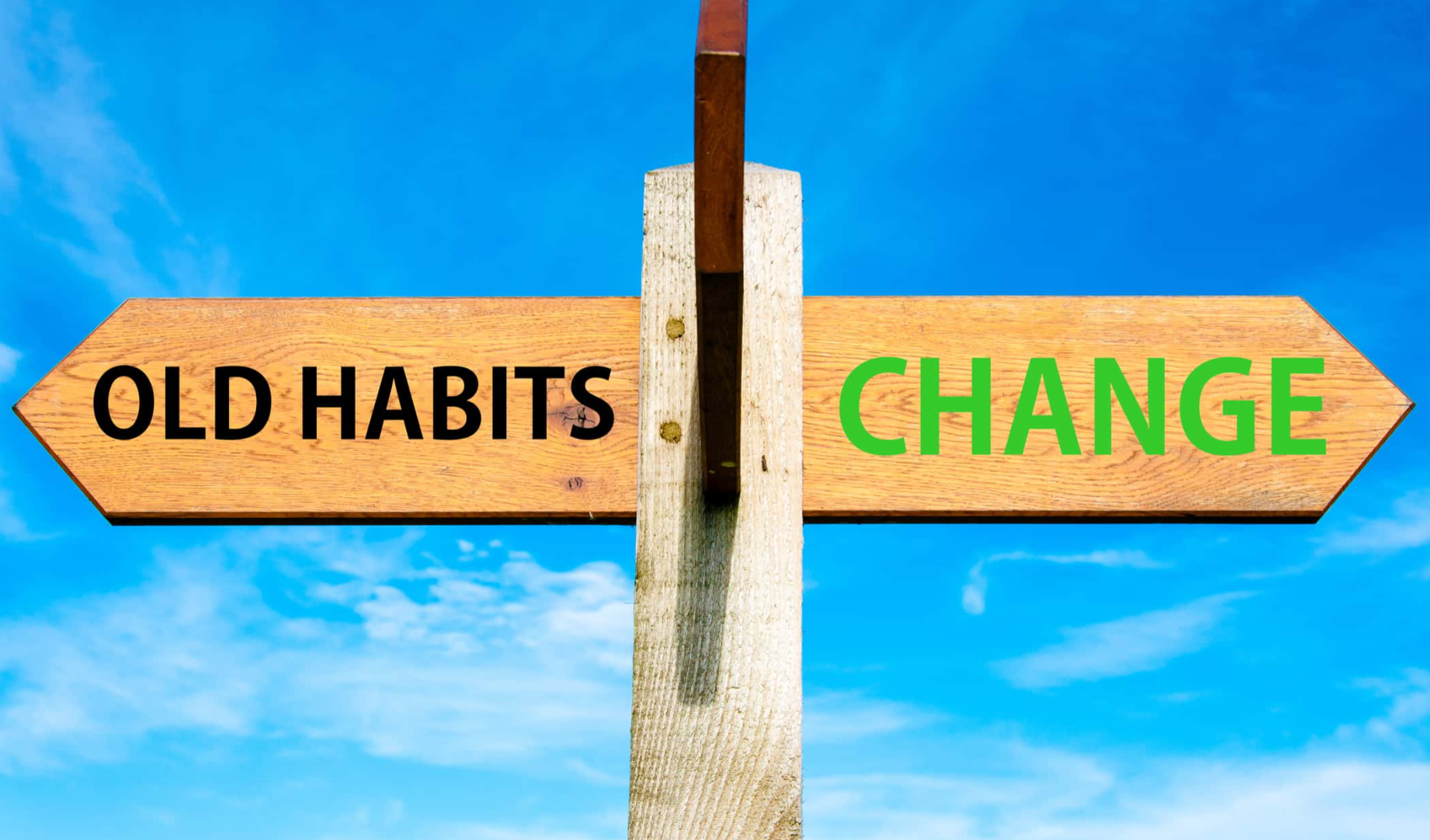 Awkward Wedding facts