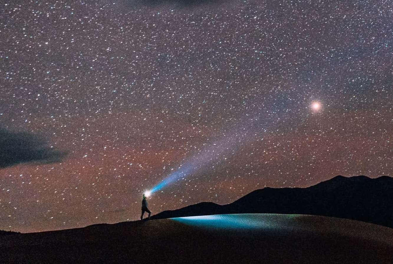 Dumbest Arguments Facts